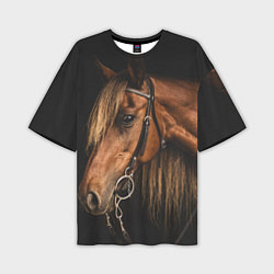 Мужская футболка оверсайз Взгляд коня