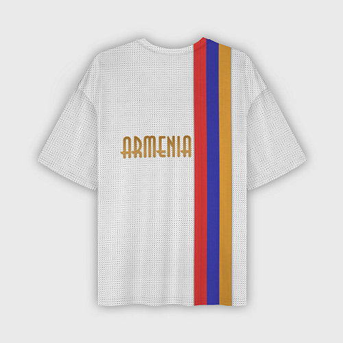 Мужская футболка оверсайз Armenia Line / 3D-принт – фото 2