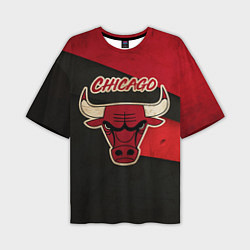Футболка оверсайз мужская Chicago Bulls: Old Style, цвет: 3D-принт