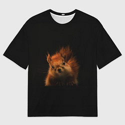 Мужская футболка оверсайз Белка