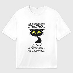 Мужская футболка оверсайз За вчерашнее стыдно
