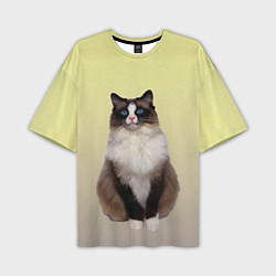 Мужская футболка оверсайз Персидская пушистая кошка
