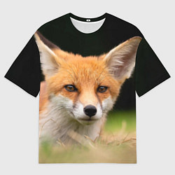 Футболка оверсайз мужская Мордочка лисицы, цвет: 3D-принт