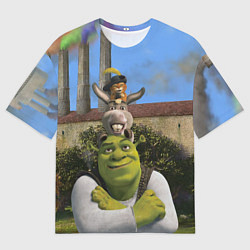 Мужская футболка оверсайз Шрек, Кот и Осёл