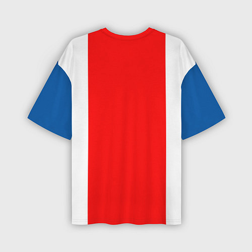Мужская футболка оверсайз Сборная Исландии / 3D-принт – фото 2