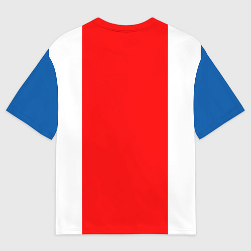 Мужская футболка оверсайз Сборная Исландии / 3D-принт – фото 2