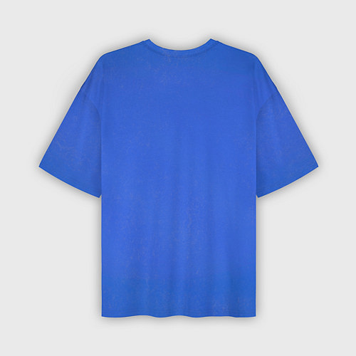 Мужская футболка оверсайз Ультрамарины парадный вариант / 3D-принт – фото 2