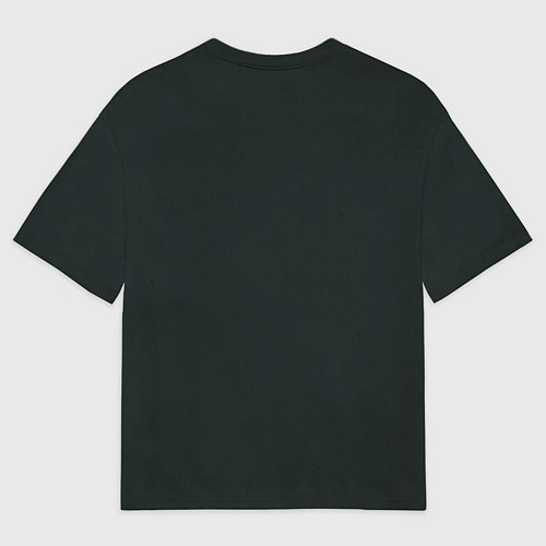 Мужская футболка оверсайз Северянин Амлет / 3D-принт – фото 2