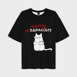 Мужская футболка оверсайз Неприветливый кот