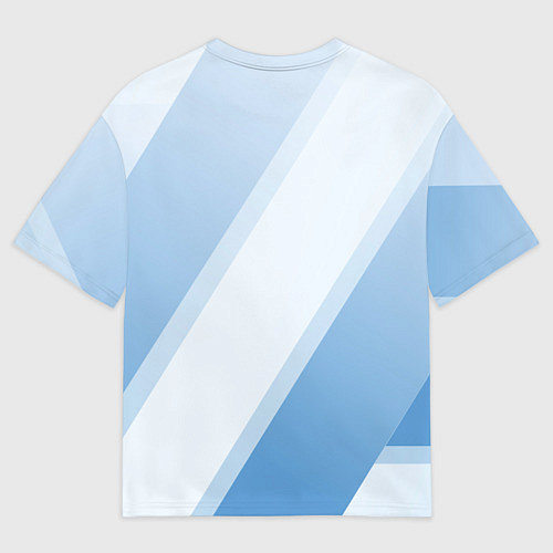 Мужская футболка оверсайз Tottenham hotspur Голубые полосы / 3D-принт – фото 2