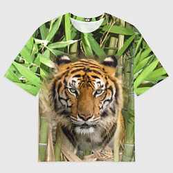 Футболка оверсайз мужская Матёрый тигр в зарослях бамбука, цвет: 3D-принт