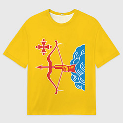 Футболка оверсайз мужская Кировская область - герб, цвет: 3D-принт