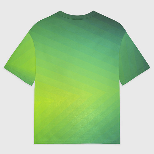 Мужская футболка оверсайз Маленький Франки / 3D-принт – фото 2