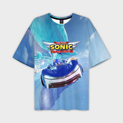 Футболка оверсайз мужская Team Sonic racing - hedgehog - speed, цвет: 3D-принт