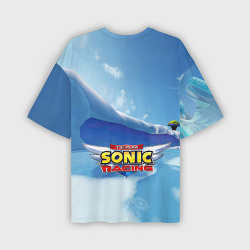 Мужская футболка оверсайз Blaze the Cat - Team Sonic racing / 3D-принт – фото 2