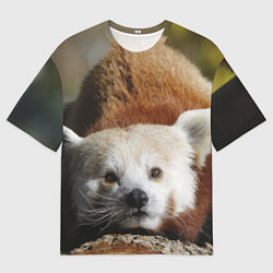 Мужская футболка оверсайз Красная панда ждёт