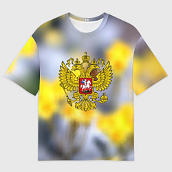 Футболка оверсайз мужская Русская земля герб, цвет: 3D-принт