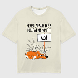 Футболка оверсайз мужская Хитрый ленивый лис, цвет: 3D-принт