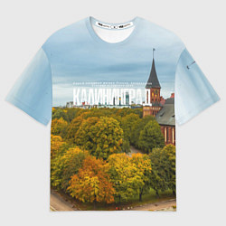 Мужская футболка оверсайз Калининград янтарная столица