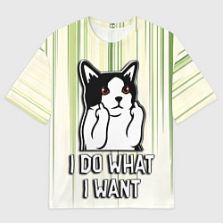 Мужская футболка оверсайз Кот - я делаю что хочу