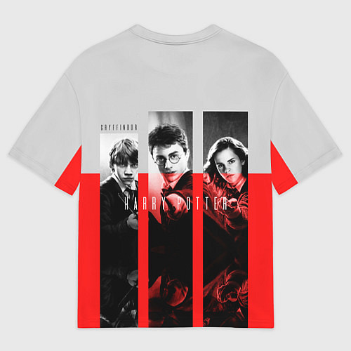 Мужская футболка оверсайз Гарри Поттер и его друзья / 3D-принт – фото 2