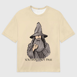 Мужская футболка оверсайз Ты не пройдешь Властелин колец