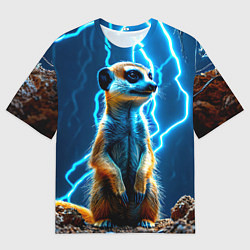 Футболка оверсайз мужская Сурикат в разрядах молний, цвет: 3D-принт