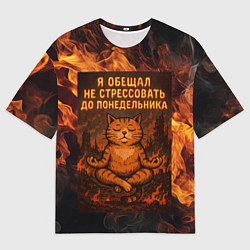 Футболка оверсайз мужская Я обещал не стрессовать до понедельника - кот поср, цвет: 3D-принт