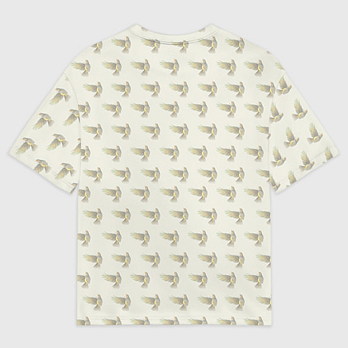 Мужская футболка оверсайз Imagine Dragons: Fly / 3D-принт – фото 2