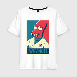 Мужская футболка оверсайз Zoidberg: Why not?