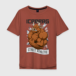Футболка оверсайз мужская Iceberg: Street Athletic, цвет: кирпичный