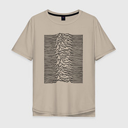 Мужская футболка оверсайз Unknown Pleasures