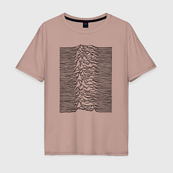 Мужская футболка оверсайз Unknown Pleasures