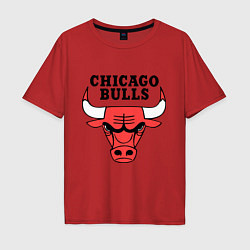 Футболка оверсайз мужская Chicago Bulls, цвет: красный