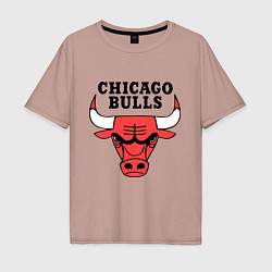 Мужская футболка оверсайз Chicago Bulls