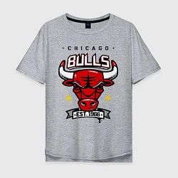 Мужская футболка оверсайз Chicago Bulls est. 1966