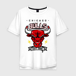 Мужская футболка оверсайз Chicago Bulls est. 1966