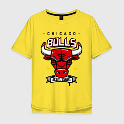 Мужская футболка оверсайз Chicago Bulls est. 1966