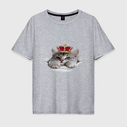 Футболка оверсайз мужская Pretty kitten, цвет: меланж