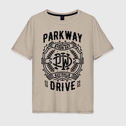 Мужская футболка оверсайз Parkway Drive: Australia