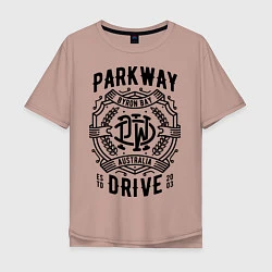 Мужская футболка оверсайз Parkway Drive: Australia