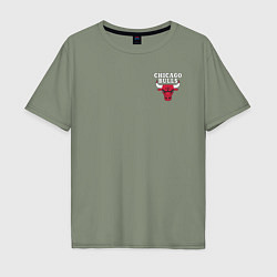 Футболка оверсайз мужская CHICAGO BULLS, цвет: авокадо
