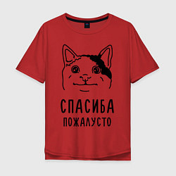 Мужская футболка оверсайз Вежливый котик