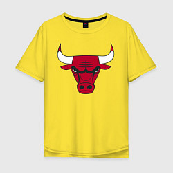 Мужская футболка оверсайз Chicago Bulls