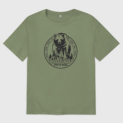 Футболка оверсайз мужская Сибирь Дух России, цвет: авокадо