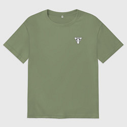 Мужская футболка оверсайз Triumph Мото Лого Z