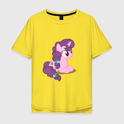 Мужская футболка оверсайз Pony Pink Mammal Purple - Litt