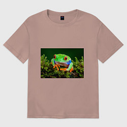 Мужская футболка оверсайз Тропическая лягушка