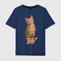 Мужская футболка оверсайз Рыжий кот