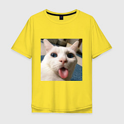Мужская футболка оверсайз Мем про кота
